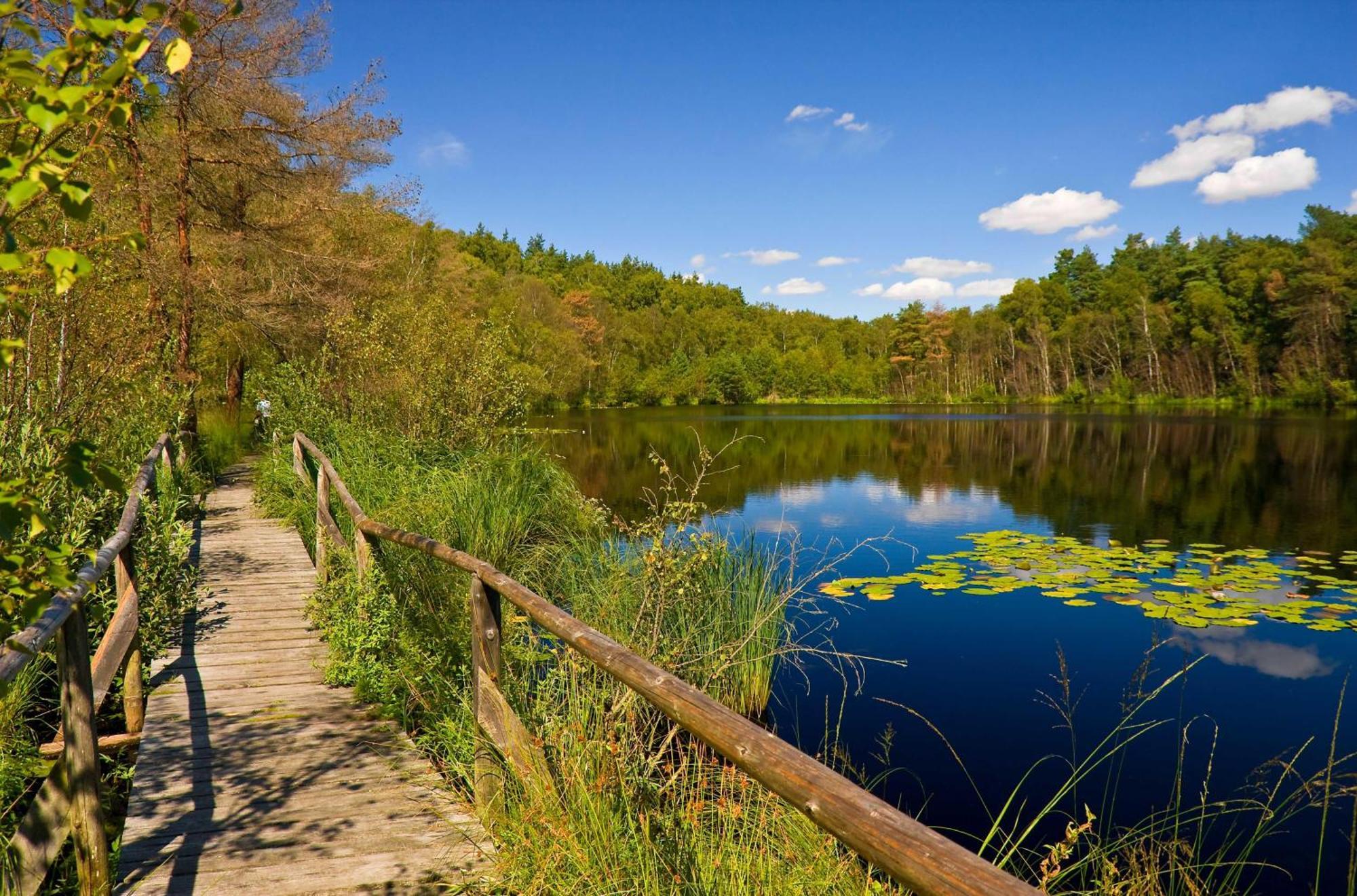 Havelquelle Mit Sauna Und Garten Kratzeburg Eksteriør bilde